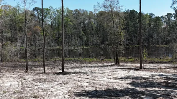 $98,900 | Nhn Nhn Yankee Road, Lucedale, MS 39452