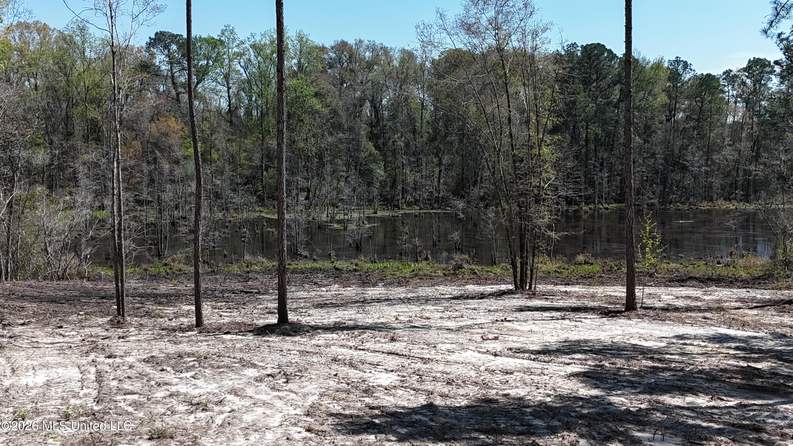 Nhn Nhn Yankee Road Lucedale, MS 39452 - Photo 6 of 15 dji_fly_20260320_133634_0090_17746267472