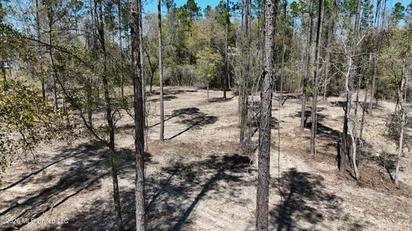 $98,900 | Nhn Nhn Yankee Road, Lucedale, MS 39452