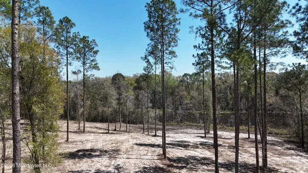 $98,900 | Nhn Nhn Yankee Road, Lucedale, MS 39452