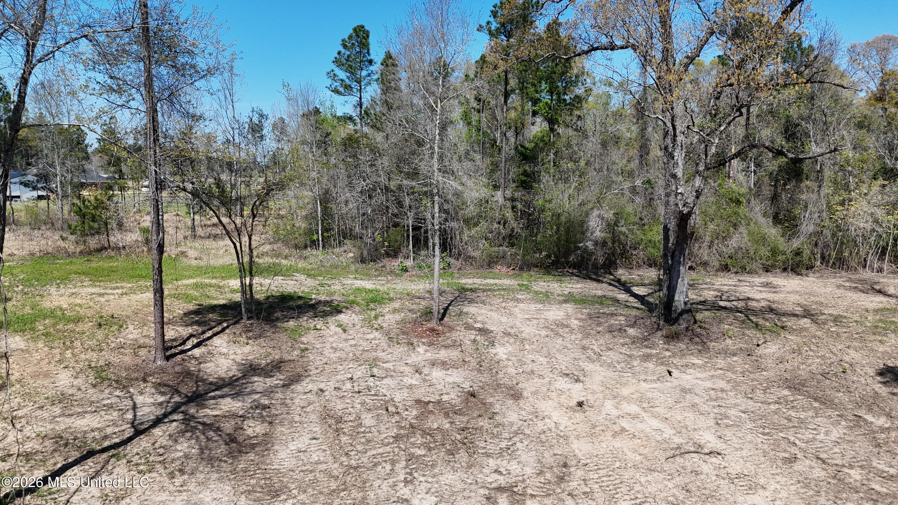 Nhn Nhn Yankee Road Lucedale, MS 39452 - Photo 10 of 15 dji_fly_20260320_133144_0077_17746267502