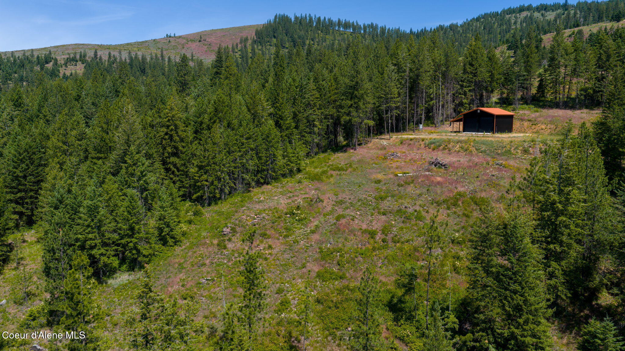 2089 Tower Mountain Road Blanchard, ID 83804 - Photo 11 of 35 16-web-or-mls-DJI_20260625111905_0046_D