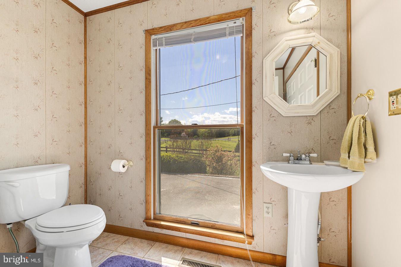 485 Esteppe Road Front Royal, VA 22630 - Photo 18 of 44 Owners Bath with Tub/Shower Combo