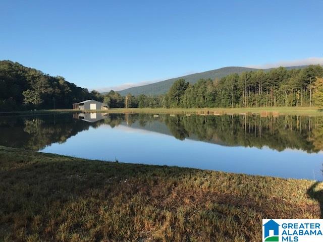 545 Watts Road, Unit 50 AC Lineville, AL 36266 - Photo 1 of 21