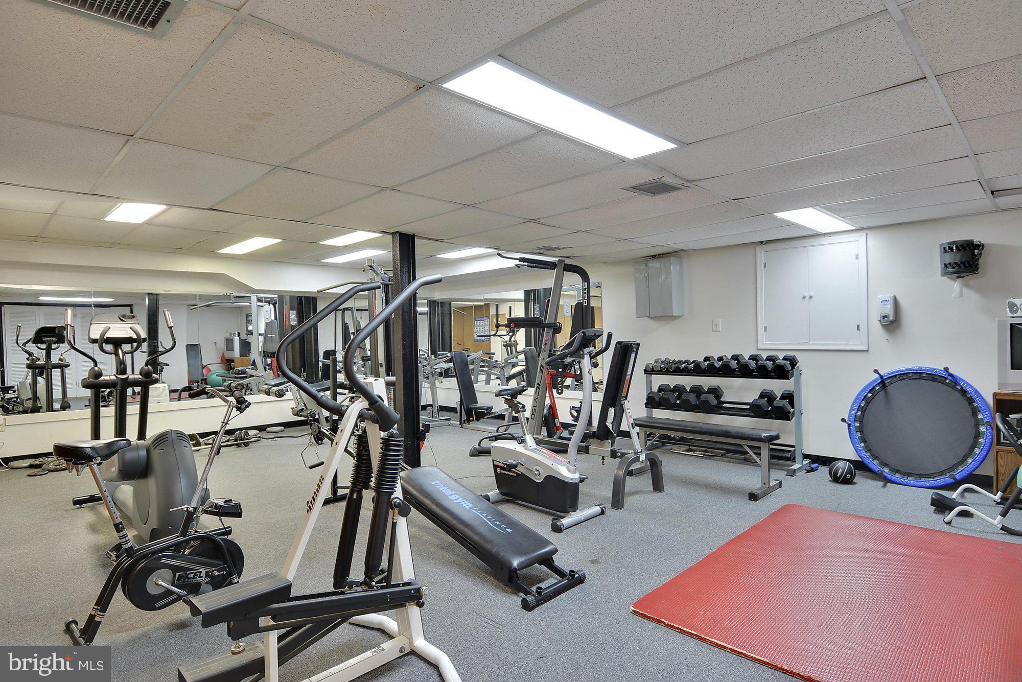 2912 13th Road South, Unit 12104 Arlington, VA 22204 - Photo 35 of 38 The Commons of Arlington Fitness Center