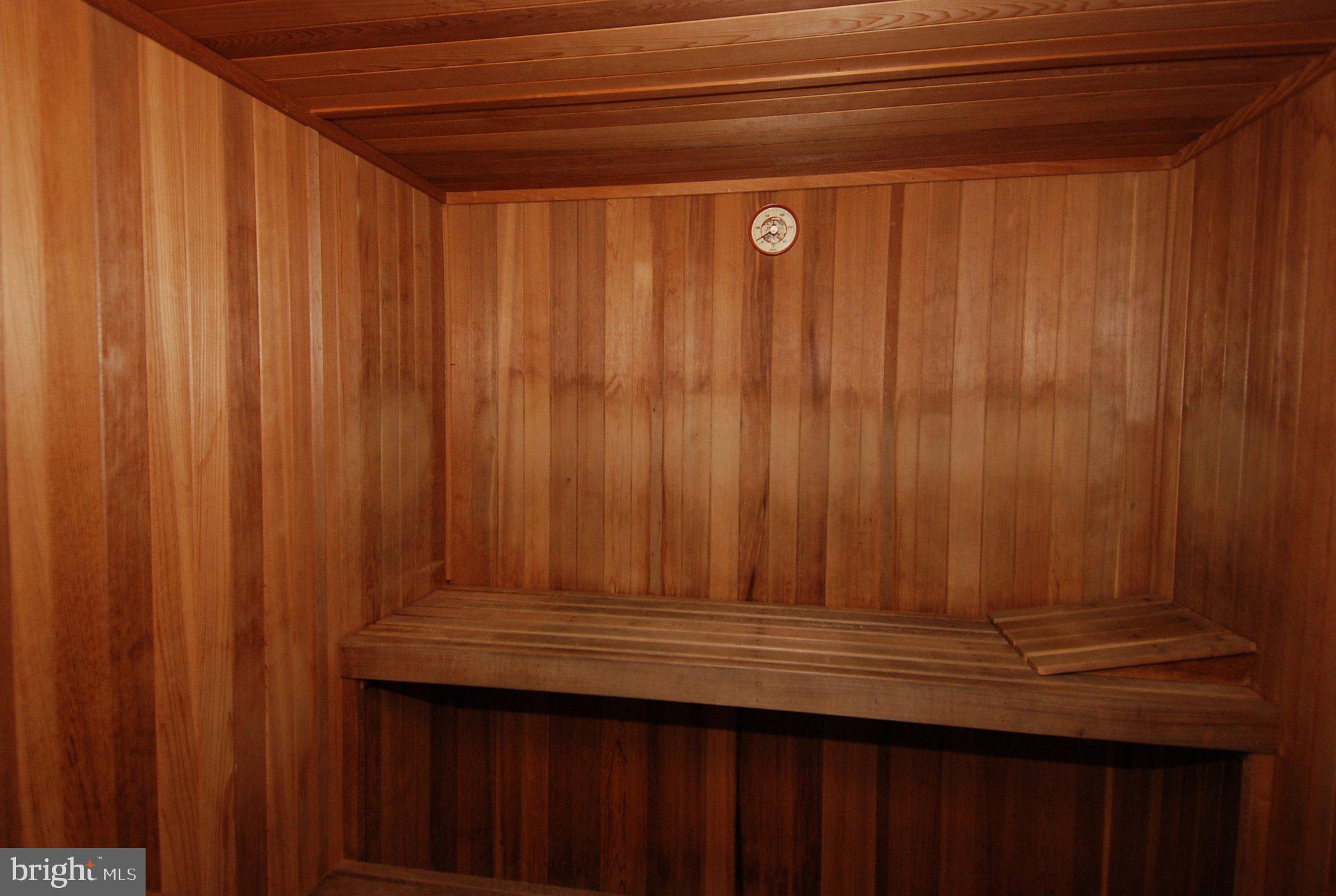 2912 13th Road South, Unit 12104 Arlington, VA 22204 - Photo 36 of 38 Sauna