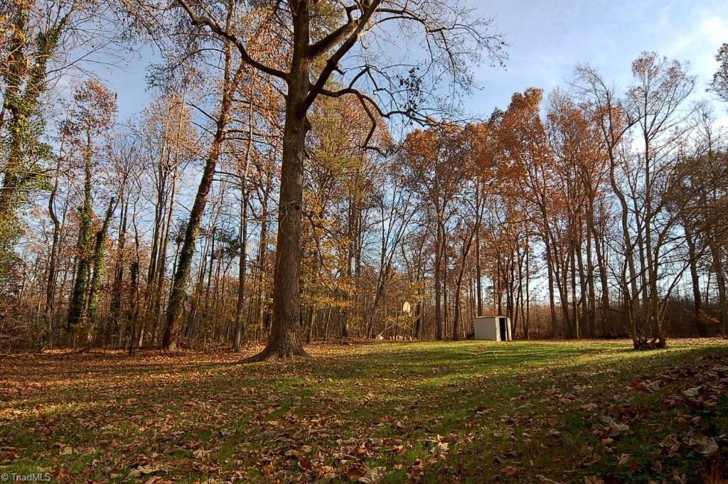 2014 Neelley Road Pleasant Garden, NC 27313 - Photo 29 of 30 Backyard