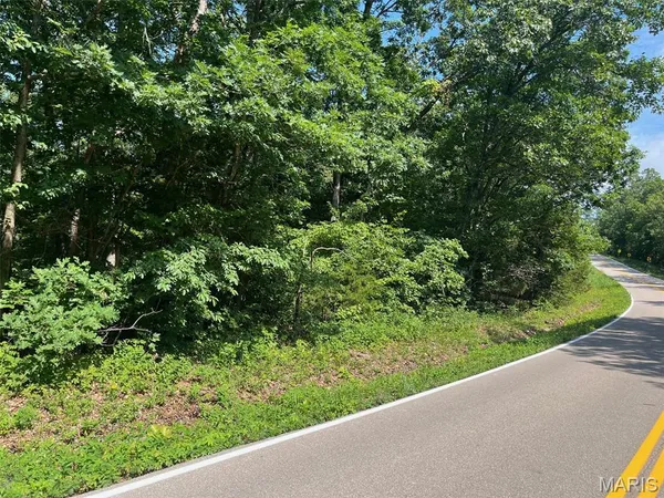 $55,000 | 0 Hwy F Road, Potosi, MO 63664