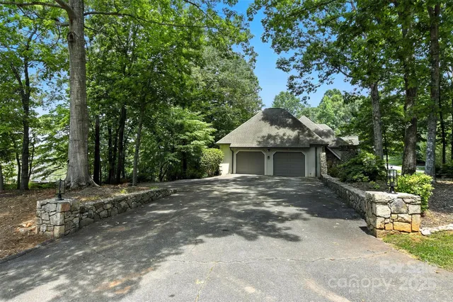 a view of a forest with trees in the background