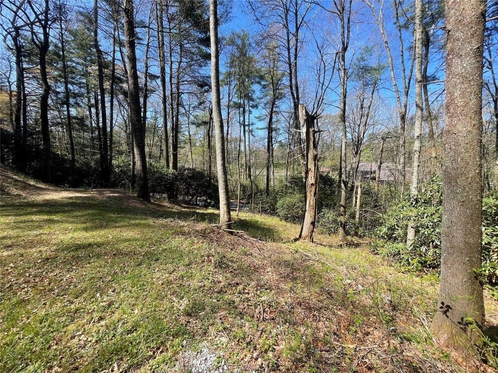 188 Holt Road Highlands, NC 28741 - Photo 4 of 17 Cleared homesite