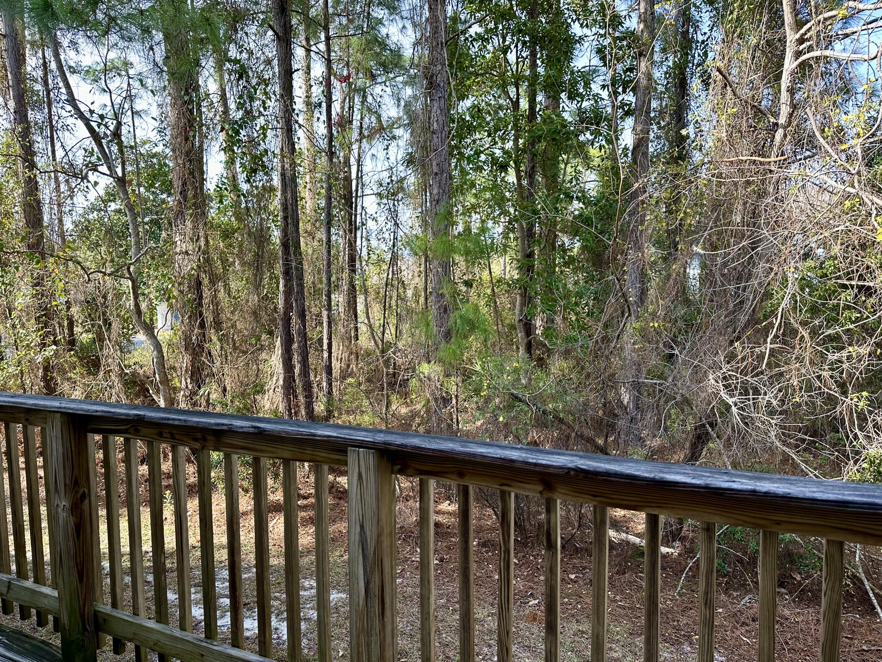 732 East Mack Bayou Drive, Unit 2 Santa Rosa Beach, FL 32459 - Photo 39 of 43 a view of a forest from a balcony