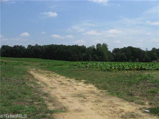 30-ac Bobcat Road Summerfield, NC 27358 - Photo 3 of 4 Land.