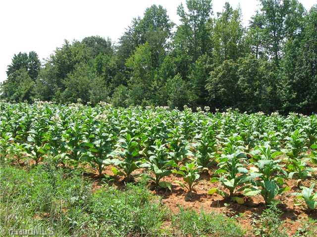 30-ac Bobcat Road Summerfield, NC 27358 - Photo 4 of 4 Land.
