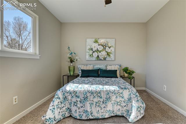 1913 Wooten Road Colorado Springs, CO 80915 - Photo 42 of 50 Carpeted bedroom with ceiling fan
