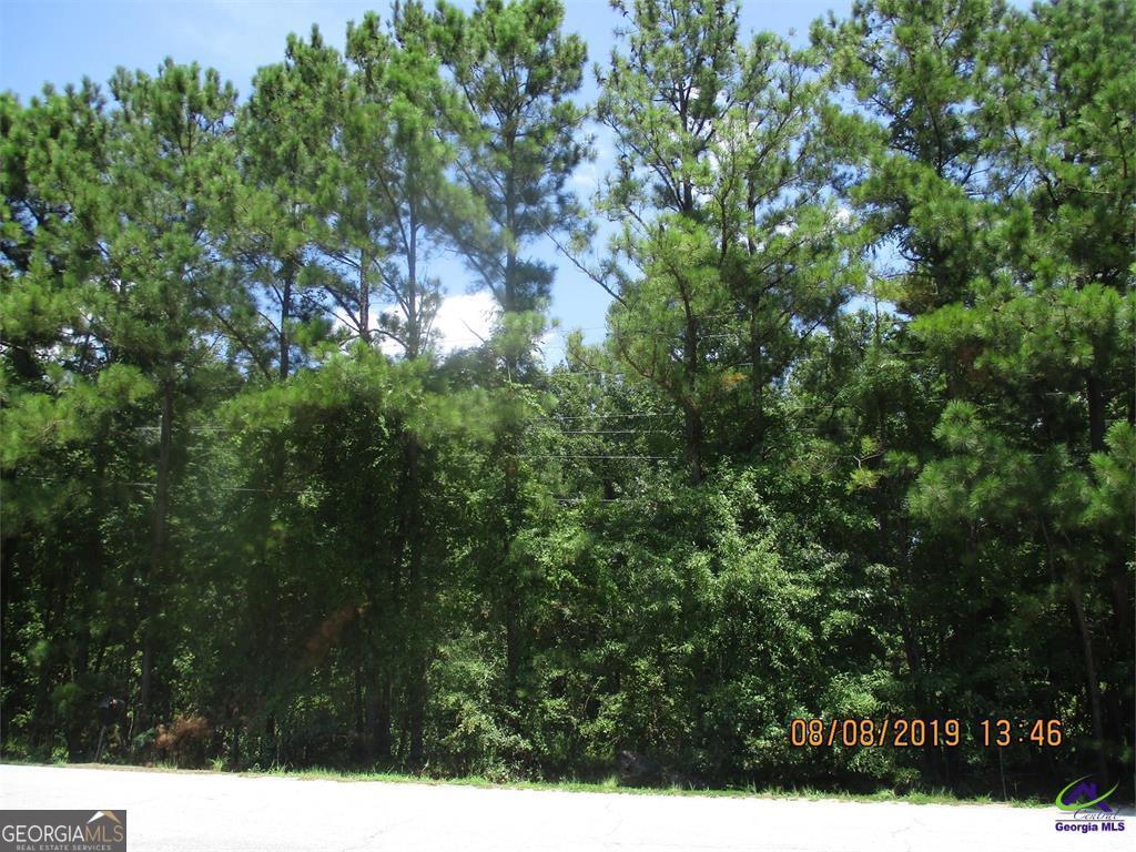 8641 Hopewell Road Lizella, GA 31052 - Photo 3 of 3