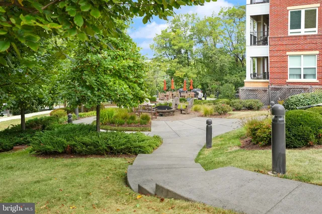 a view of a garden with pathway