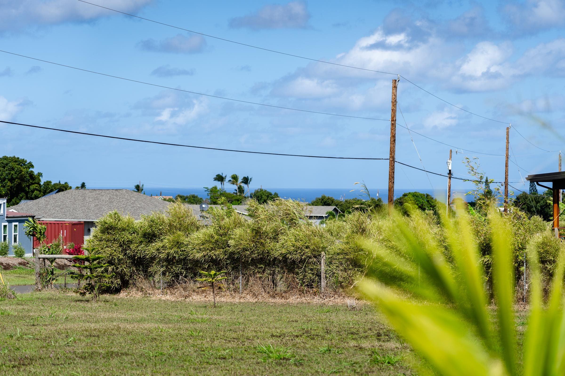 674 Kauaheahe Place, Unit A Haiku, HI 96708 - Photo 12 of 21 a view of a garden