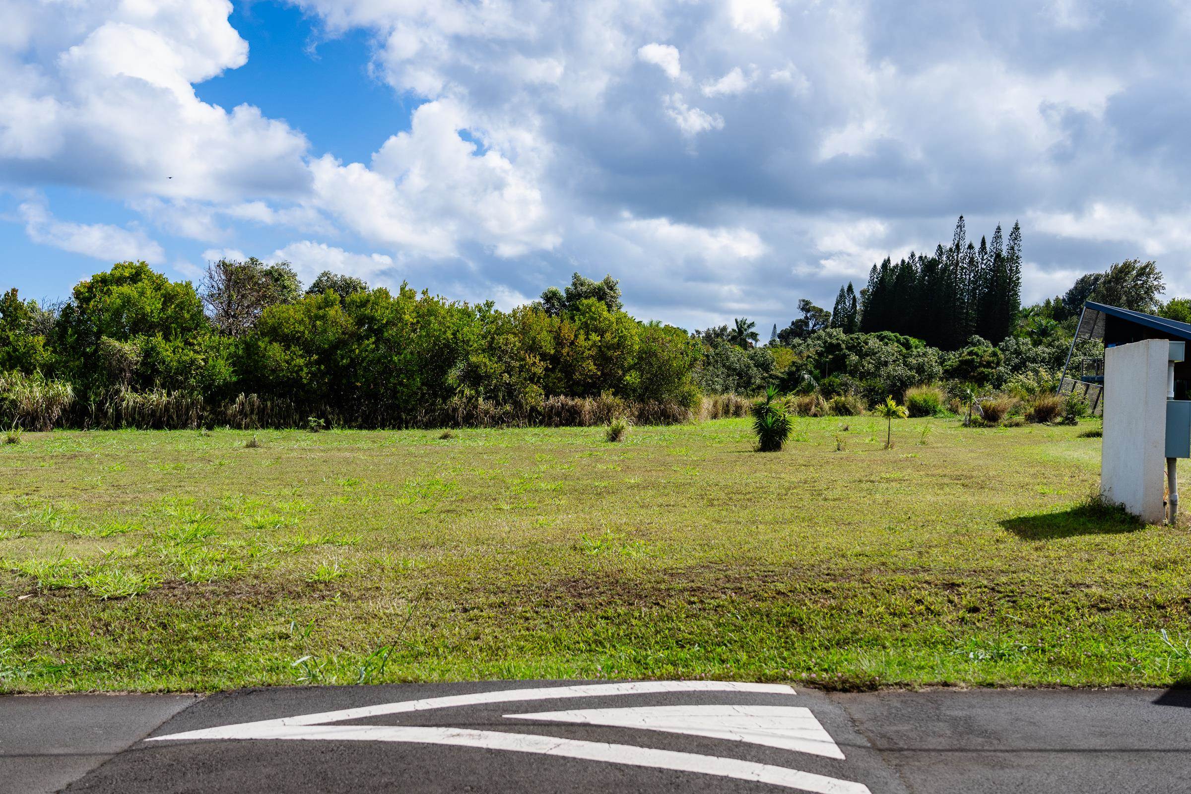 674 Kauaheahe Place, Unit A Haiku, HI 96708 - Photo 2 of 21 a view of a yard with an outdoor seating