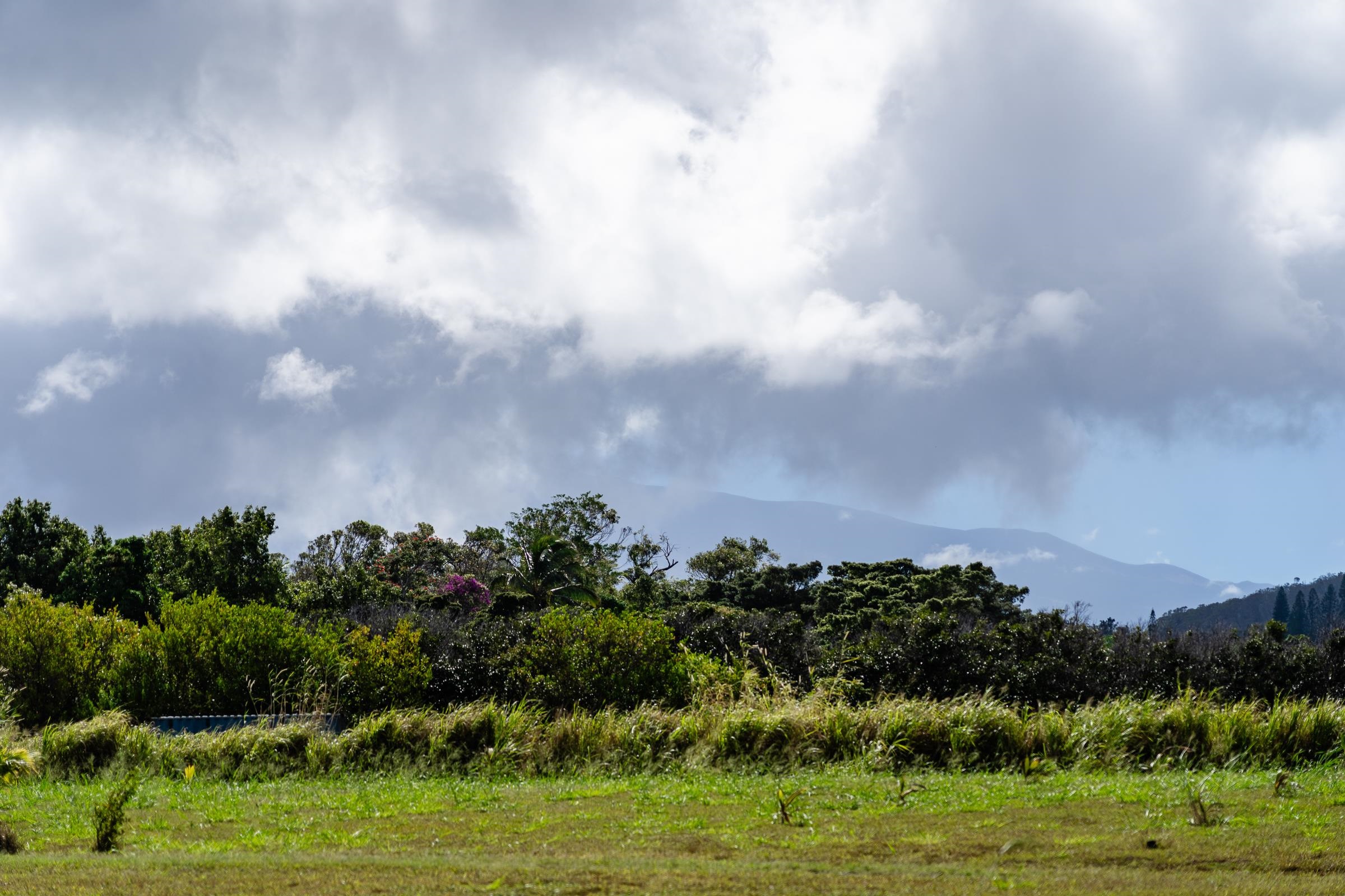 674 Kauaheahe Place, Unit A Haiku, HI 96708 - Photo 4 of 21 a view of a city