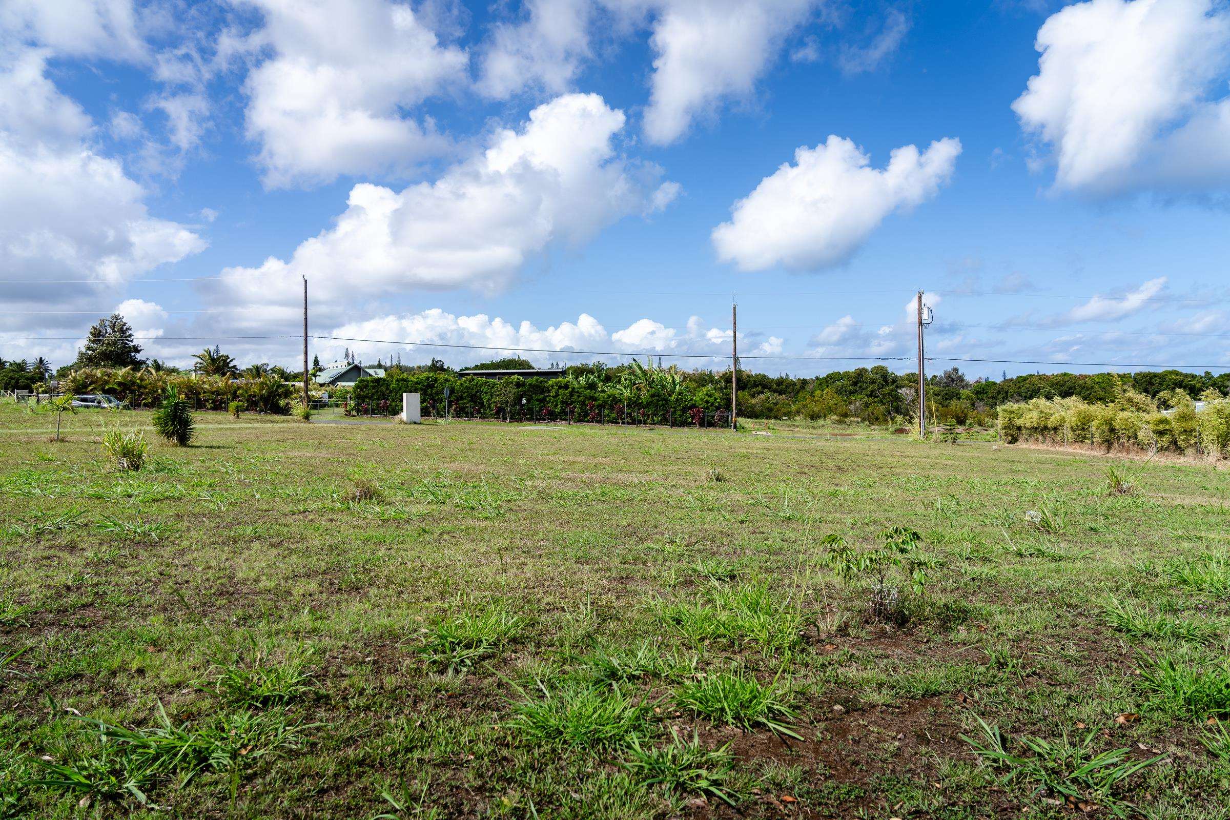 674 Kauaheahe Place, Unit A Haiku, HI 96708 - Photo 6 of 21 a view of a big yard with lots of green space