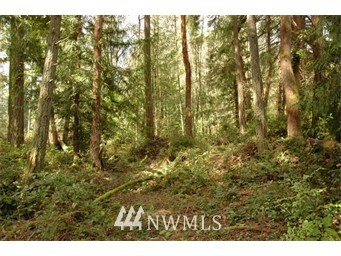 1111 Southeast Nelson Road Olalla, WA 98359 - Photo 3 of 5 Gallery Image 3