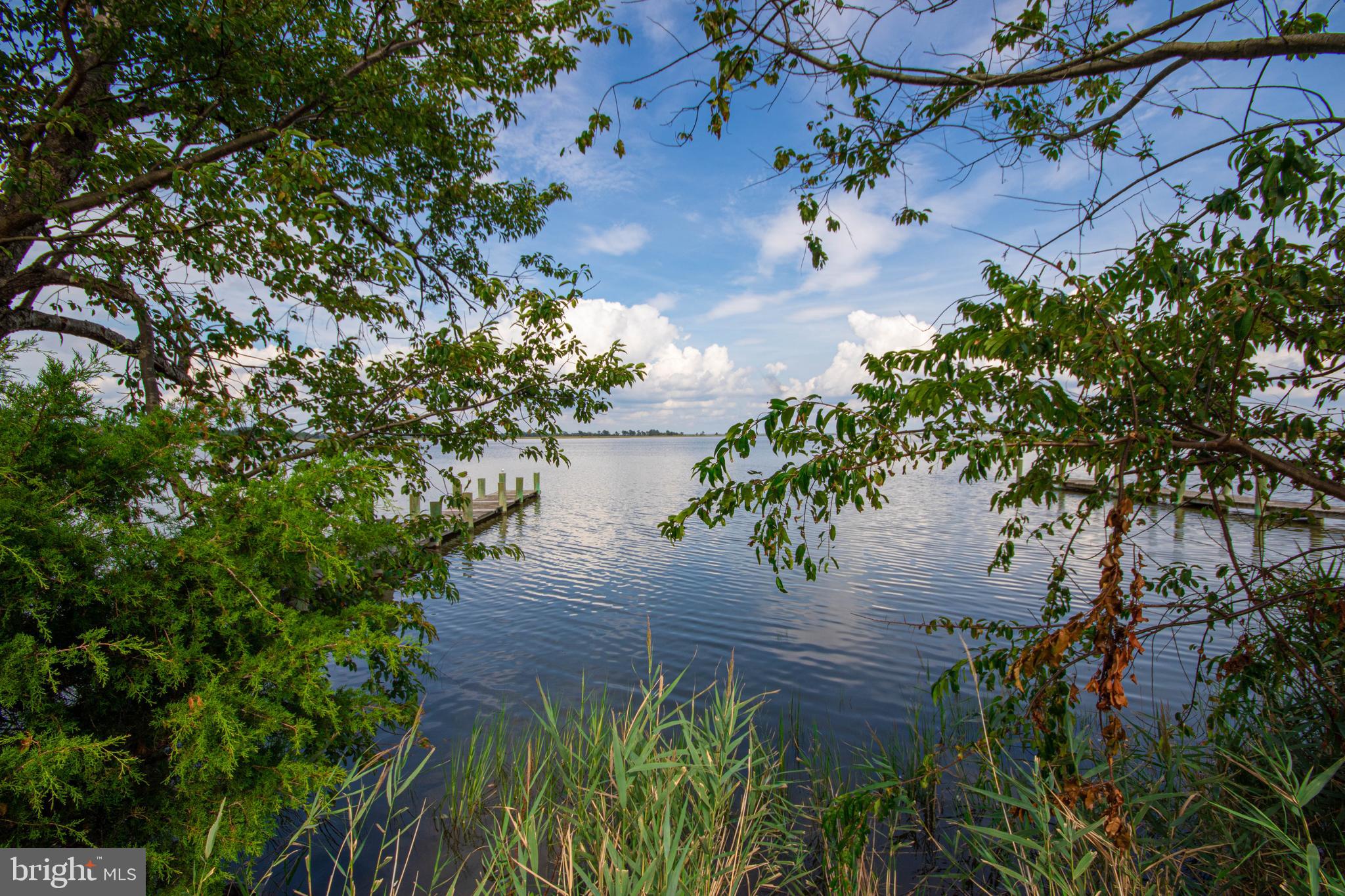 10241 Deal Island Road Deal Island, MD 21821 - Photo 60 of 74 River