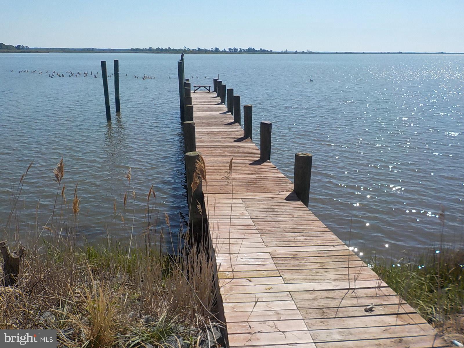 10241 Deal Island Road Deal Island, MD 21821 - Photo 7 of 74 Dock