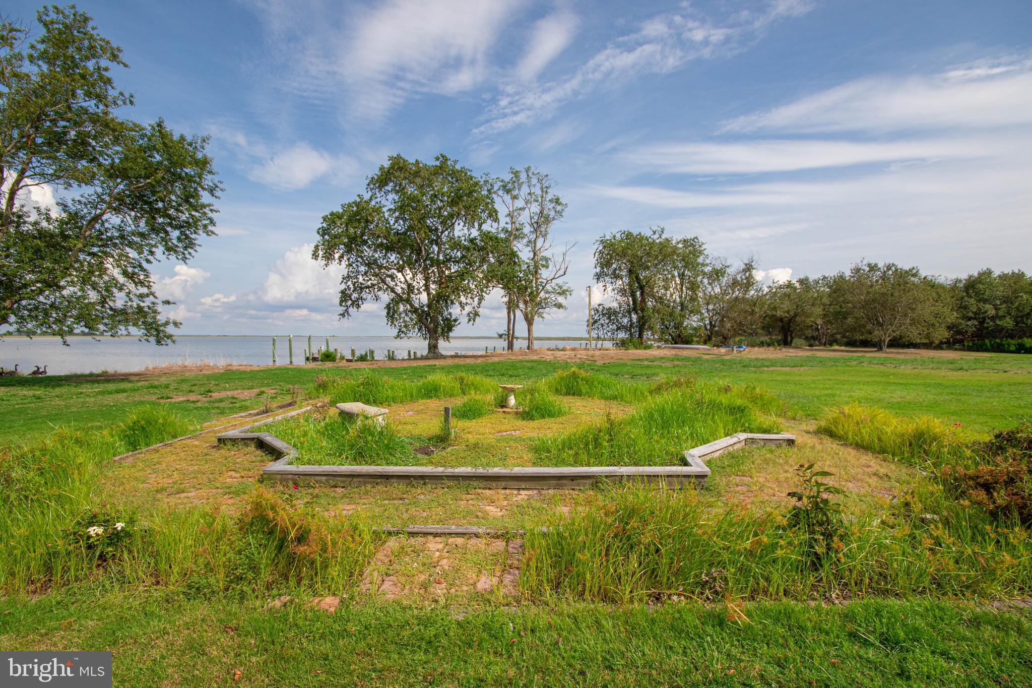 10241 Deal Island Road Deal Island, MD 21821 - Photo 65 of 74 Back yard