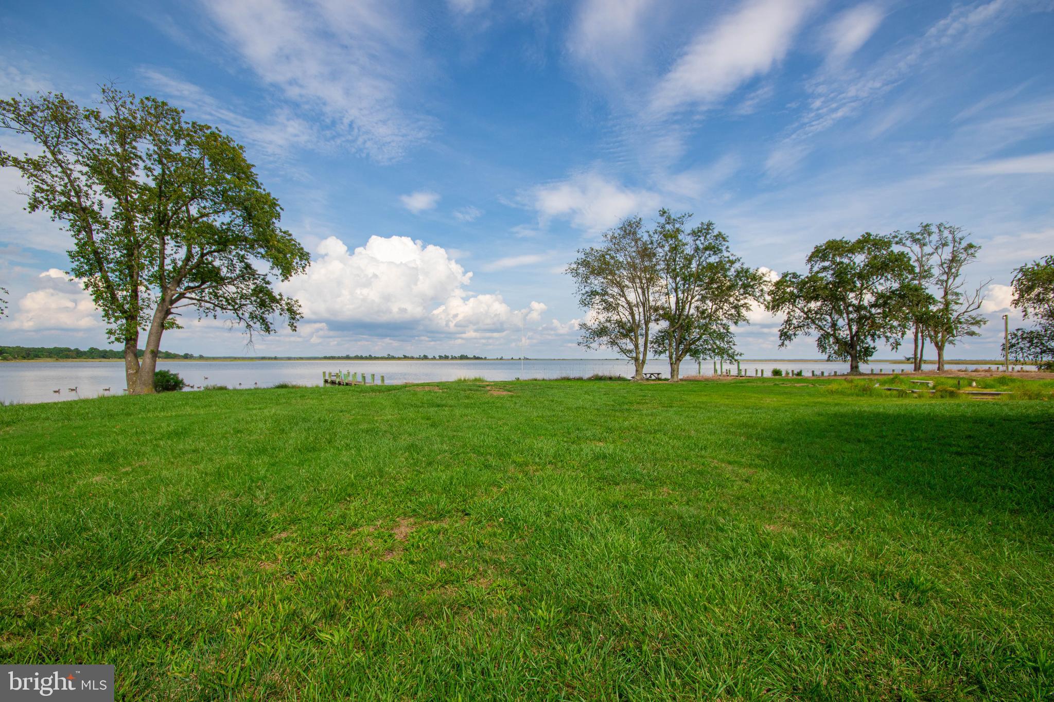 10241 Deal Island Road Deal Island, MD 21821 - Photo 66 of 74 Back yard