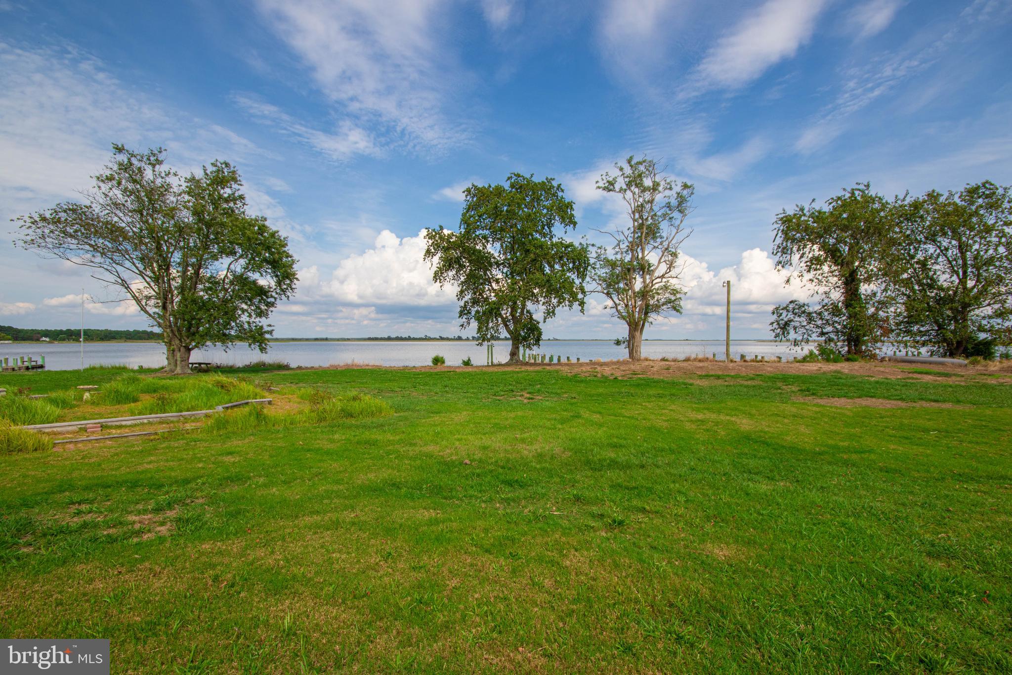 10241 Deal Island Road Deal Island, MD 21821 - Photo 67 of 74 Back yard