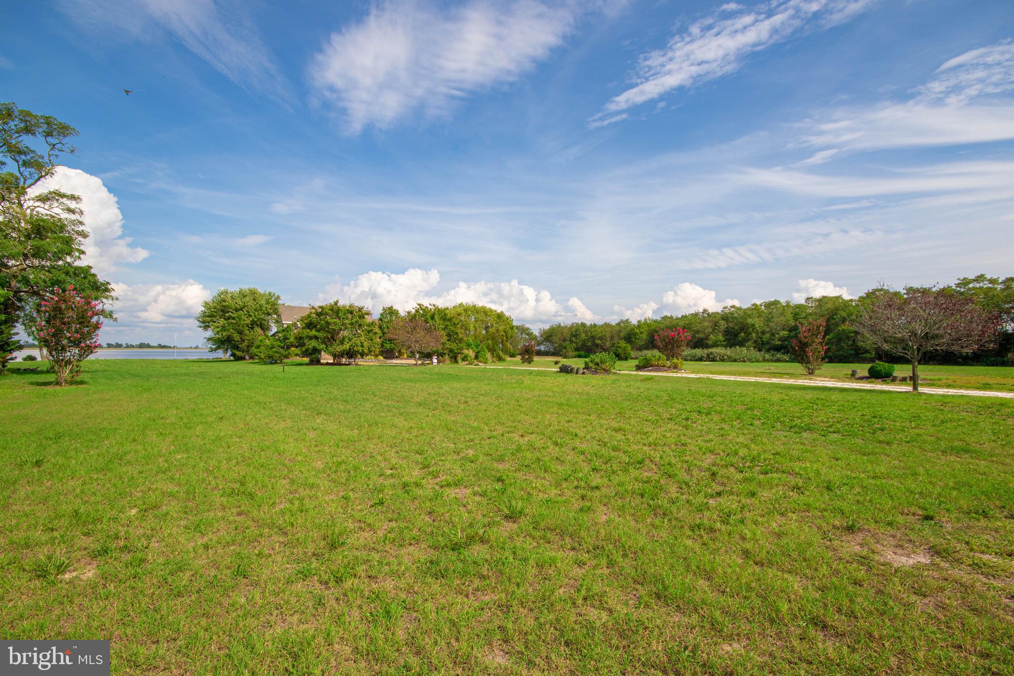 10241 Deal Island Road Deal Island, MD 21821 - Photo 68 of 74 Back yard