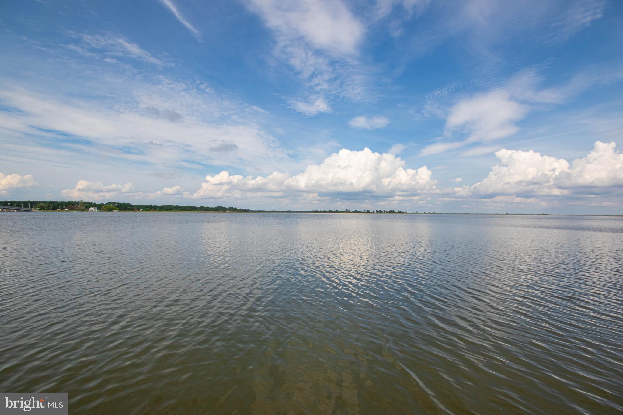 10241 Deal Island Road Deal Island, MD 21821 - Photo 10 of 74 River