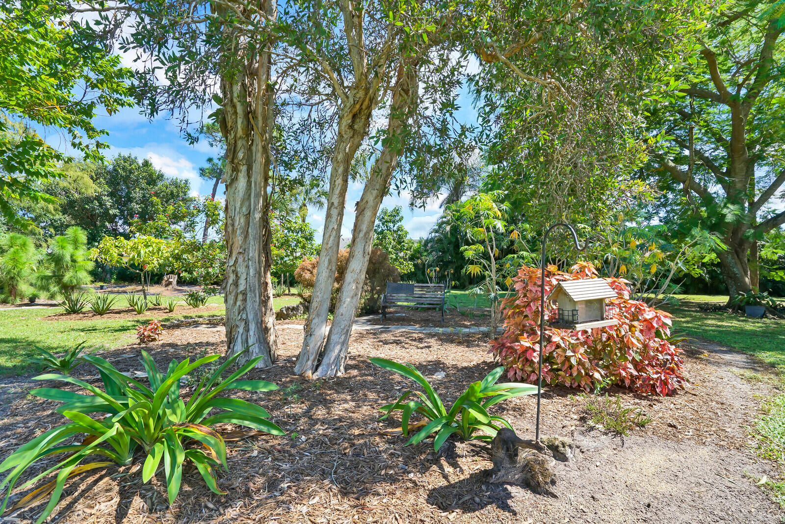 6624 Dillman Road Greenacres, FL 33413 - Photo 45 of 65 a view of a backyard with large trees