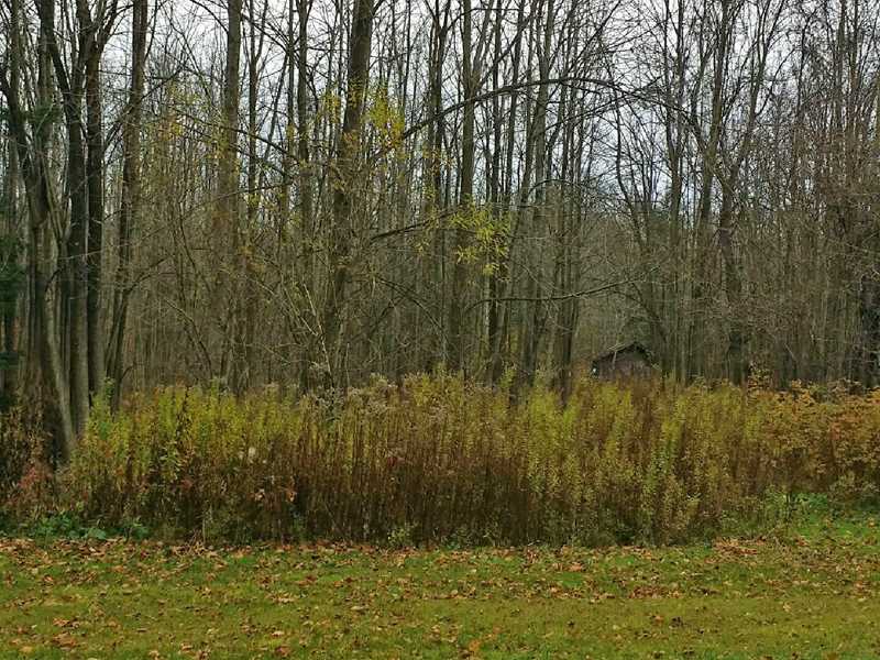 New Rd Summit Waterford, PA 16441 - Photo 1 of 1 Land/Lot.