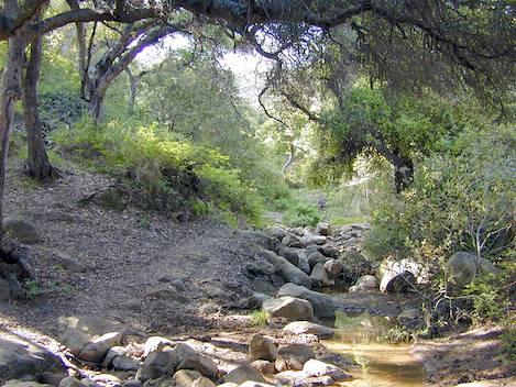 2118 Mt Calvary Road Santa Barbara, CA 93105 - Photo 53 of 55 Parma Park