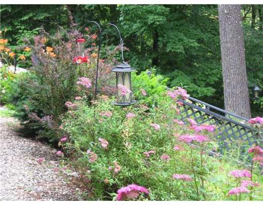 1243 Mast Road Alfred, ME 04002 - Photo 4 of 8 Yard/Garden.