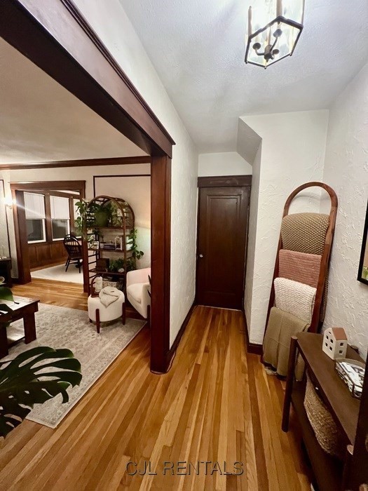 33 Evans Street, Unit 1 Watertown, MA 02472 - Photo 2 of 14 a bedroom with furniture and a wooden floor