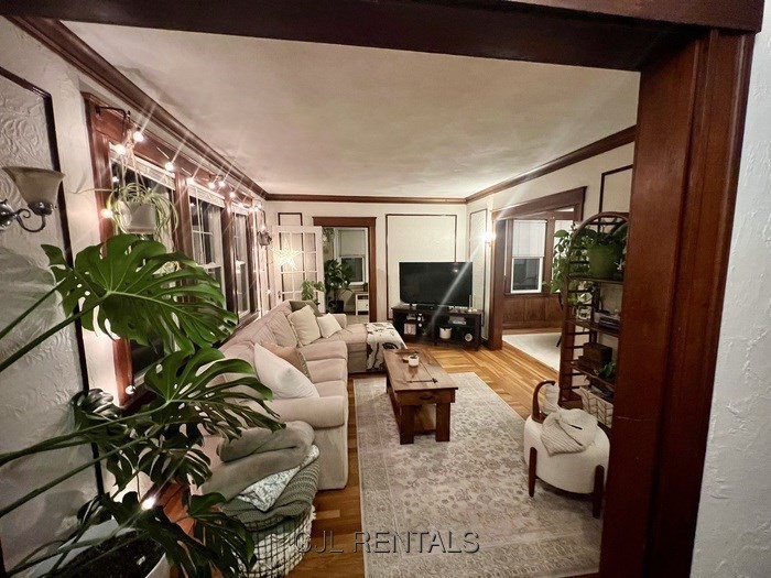 33 Evans Street, Unit 1 Watertown, MA 02472 - Photo 3 of 14 a living room with furniture potted plant and a large window