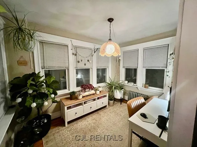 a living room with furniture fireplace and a potted plant