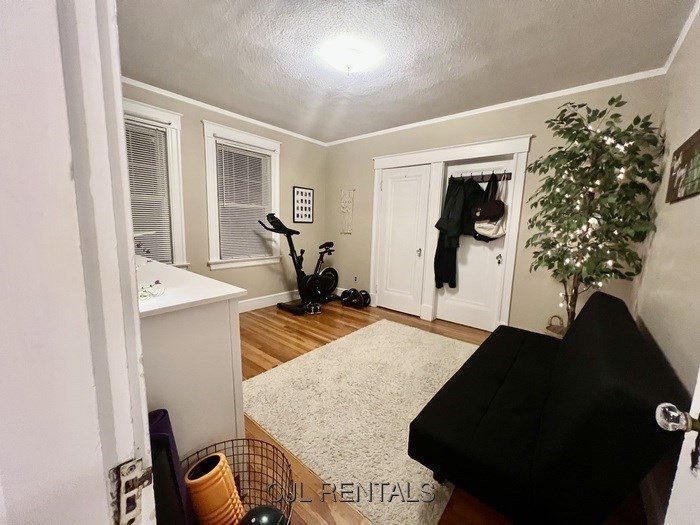 33 Evans Street, Unit 1 Watertown, MA 02472 - Photo 10 of 14 a living room with furniture and a potted plant