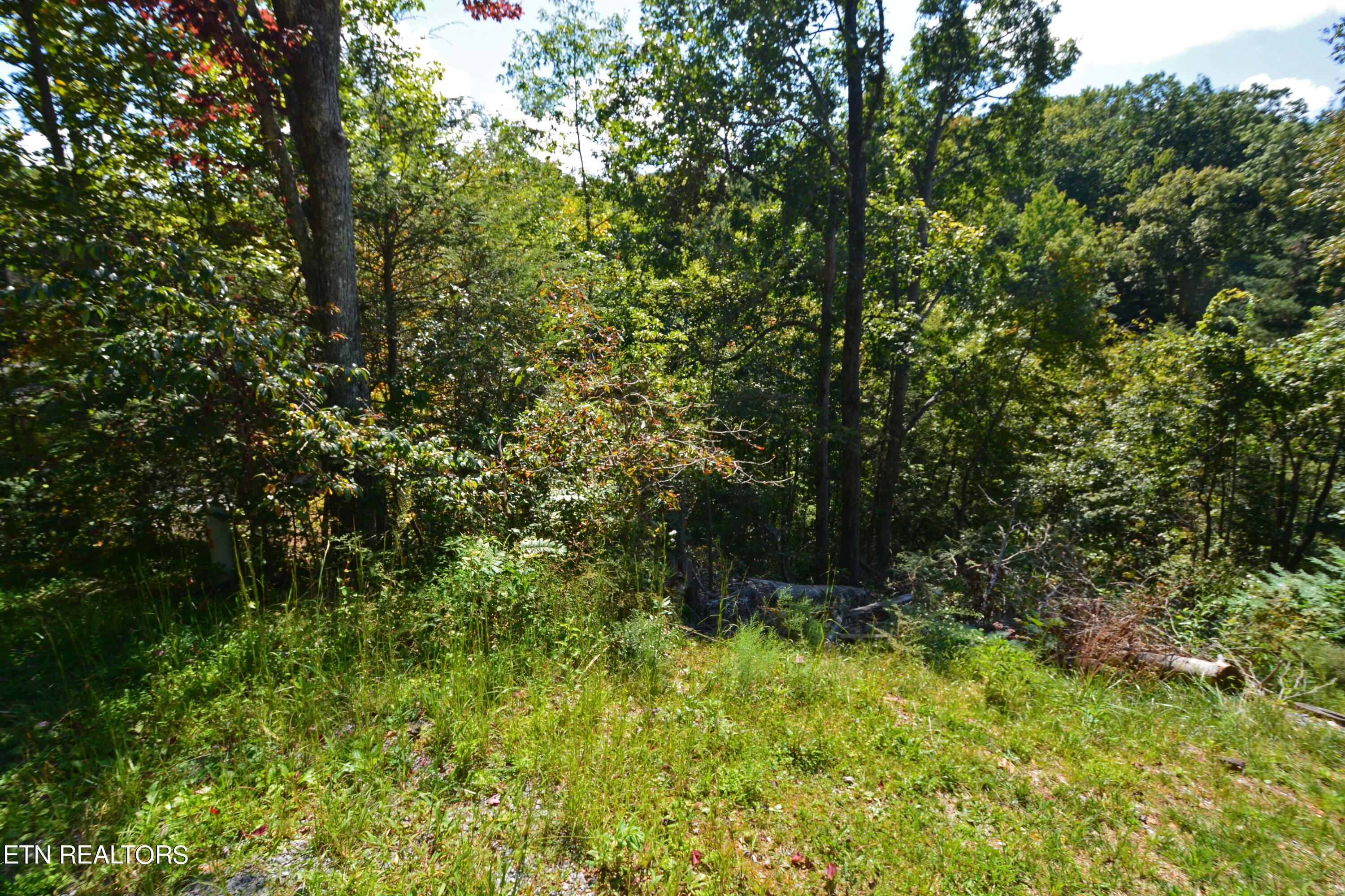 2119 Beach Front Drive Sevierville, TN 37876 - Photo 2 of 7 DSC_9650