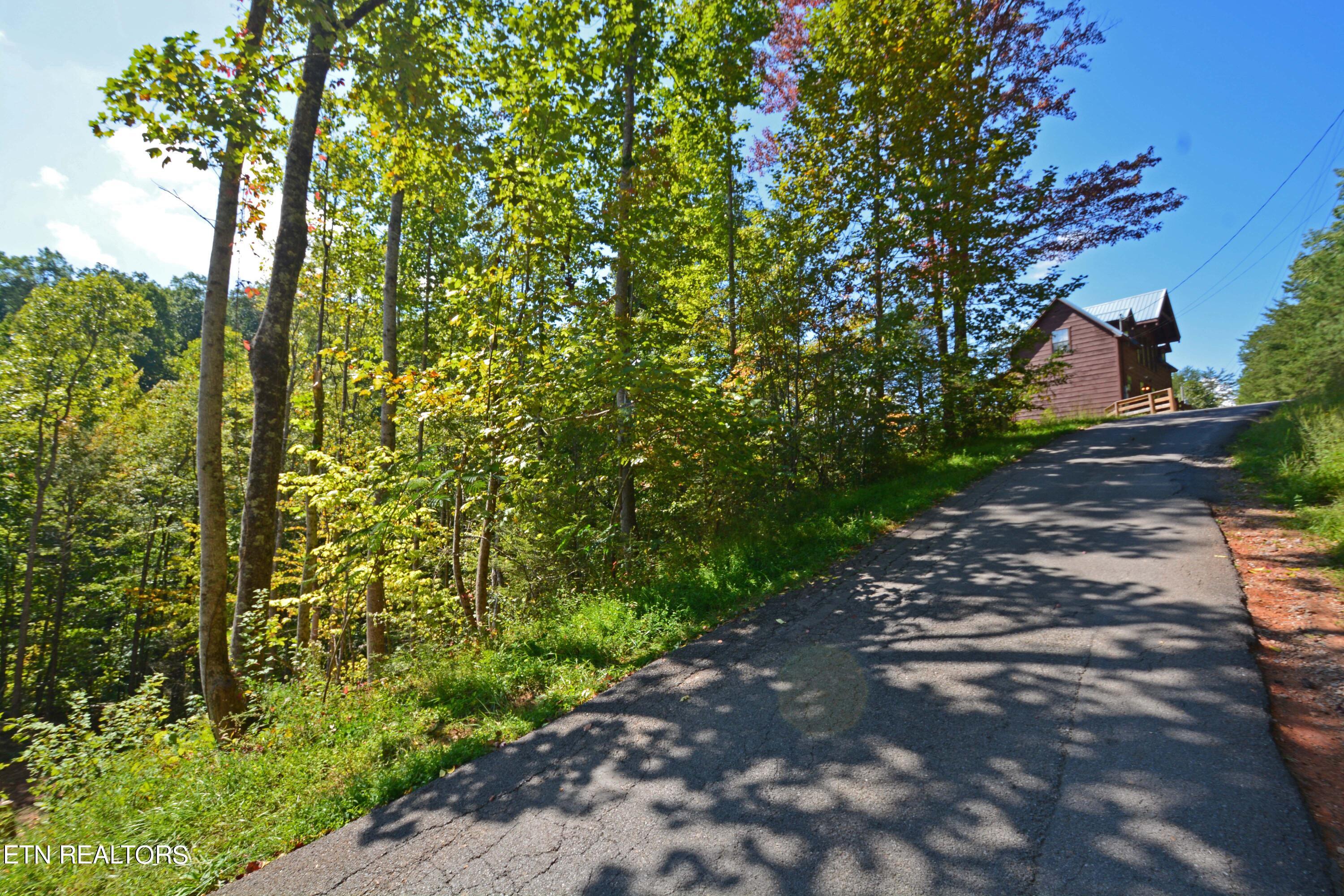 2119 Beach Front Drive Sevierville, TN 37876 - Photo 4 of 7 DSC_9652