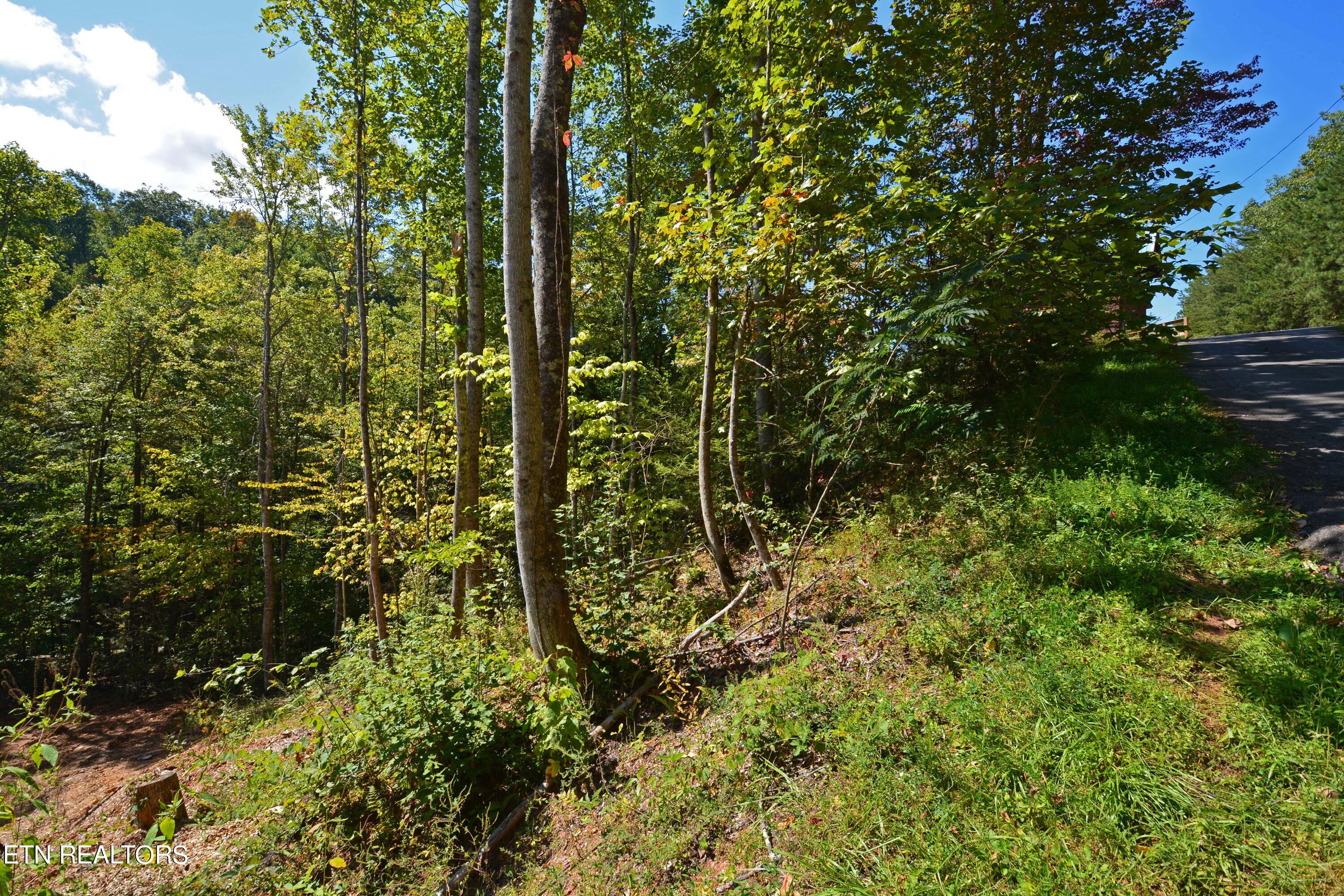 2119 Beach Front Drive Sevierville, TN 37876 - Photo 5 of 7 DSC_9653
