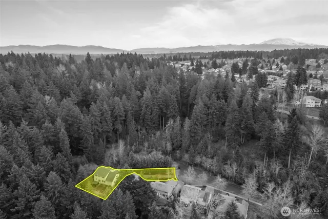 a view of a forest with a mountain