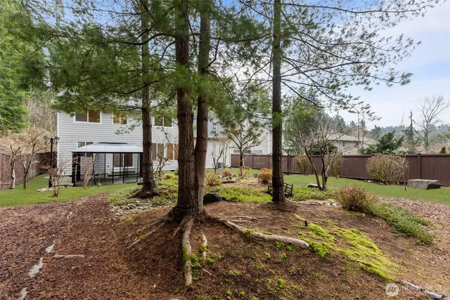 a view of a park that has large trees and a small yard
