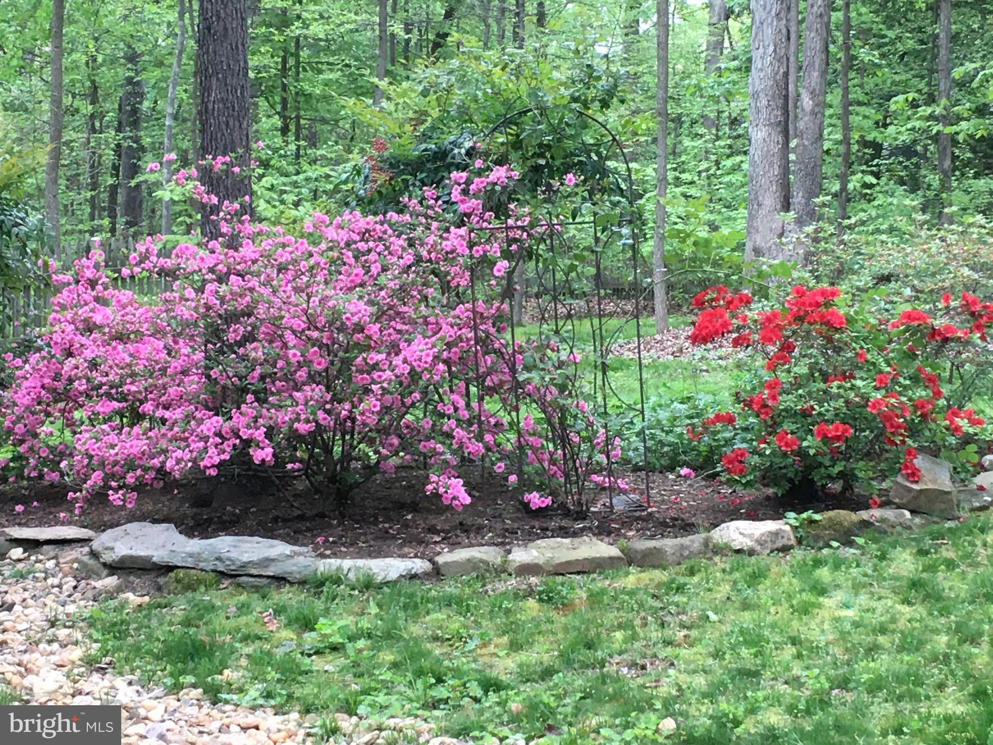 4205 Artillery Ridge Road Fredericksburg, VA 22408 - Photo 51 of 65
