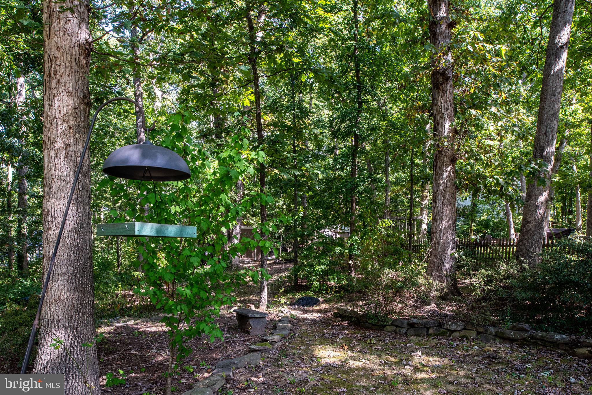 4205 Artillery Ridge Road Fredericksburg, VA 22408 - Photo 54 of 65