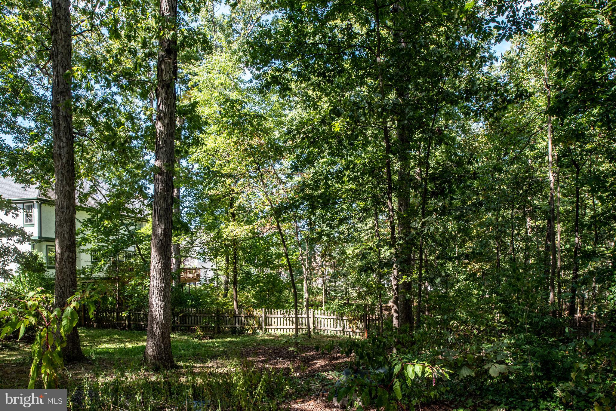 4205 Artillery Ridge Road Fredericksburg, VA 22408 - Photo 56 of 65