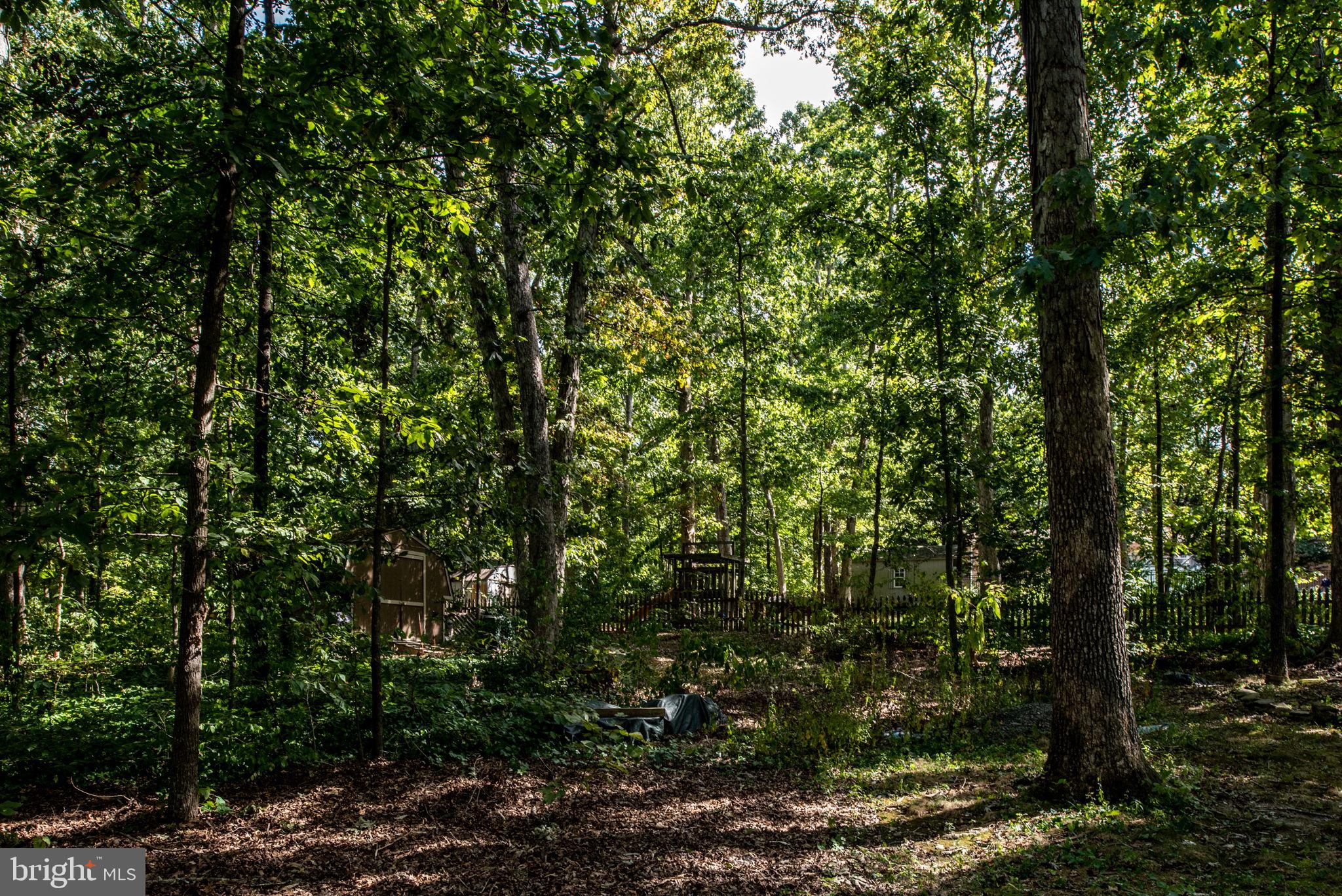 4205 Artillery Ridge Road Fredericksburg, VA 22408 - Photo 58 of 65