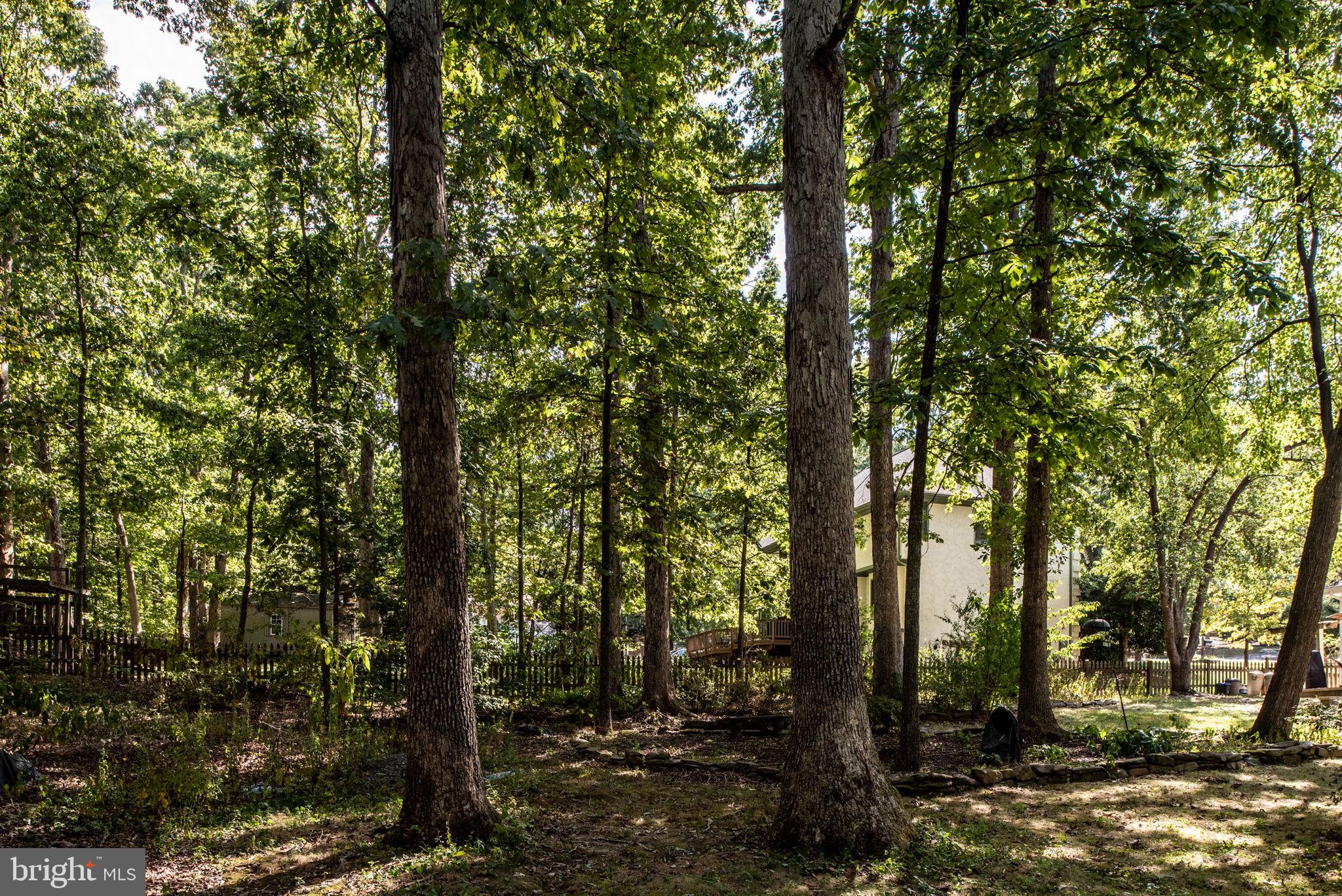 4205 Artillery Ridge Road Fredericksburg, VA 22408 - Photo 59 of 65